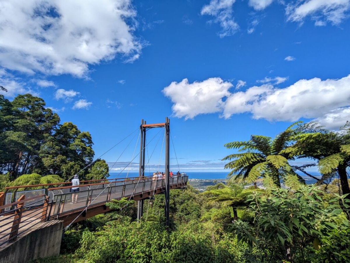 A viewing suspension viewing platform juts out over the raingforest, with views of the town and the ocean beyond.