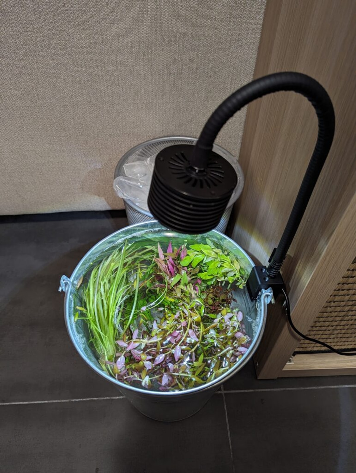 A bucket full of plants with a lamp over the top