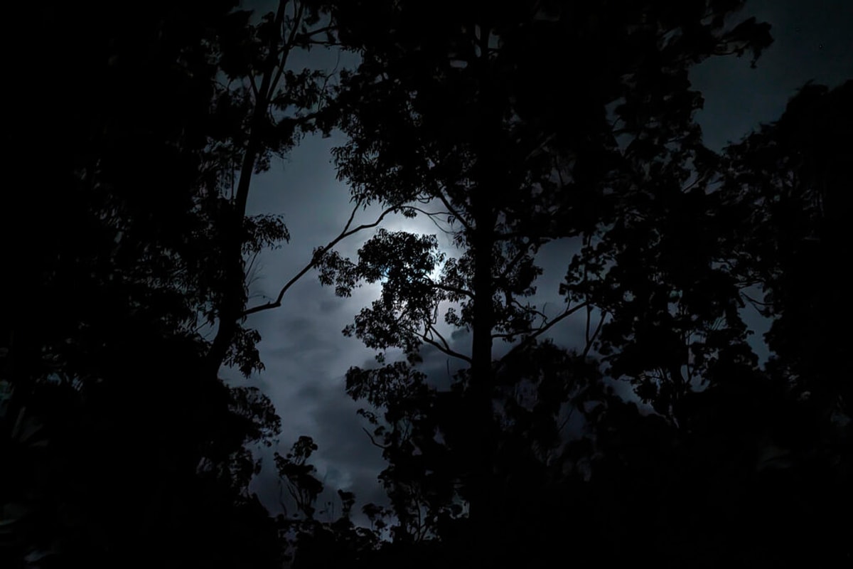 The moon behind some clouds behind some trees. It's not spooky unless you want it to be.