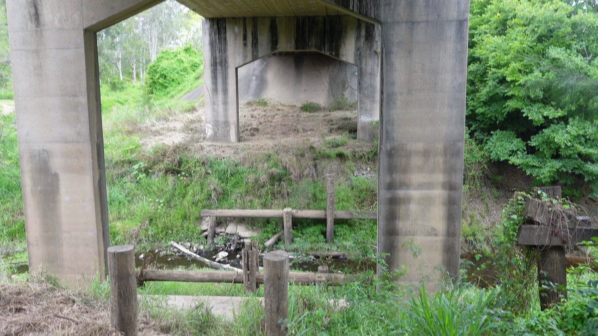 Undearneath the Bruce Highway bridge. It's suuuuper tall. There's old wooden foundations from what I can only assume is the old bridge.